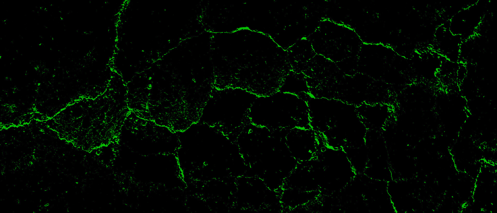 Home Not So Silent Night - The Scream Machine